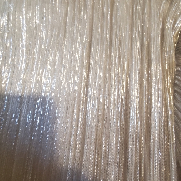 WHITE HOUSE BLACK MARKET NWT XL METALLIC MESH TOP - Picture 11 of 11